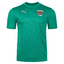 Füchse Berlin Poloshirt 25/26 Teamwear sportgreenpumawhitepowergreen