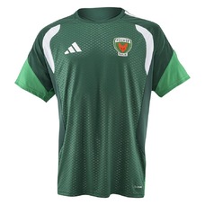 Füchse Berlin Trainingsshirt 26/27 grün-2468017