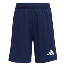 Entrada 26 Short Kids-2439924