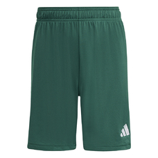 Entrada 26 Short Kids-2441762