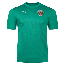 Füchse Berlin Poloshirt 25/26 Teamwear-2409182