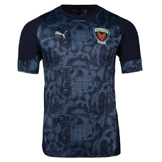 Füchse Berlin Warm Up Shirt-2432015